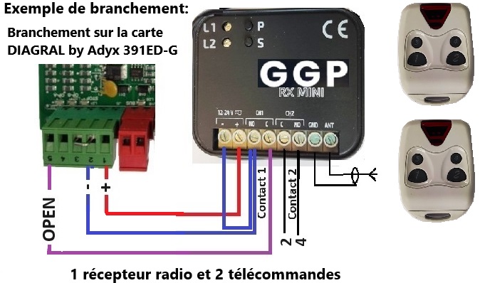 Ensemble_1_recepteur-radio_12-24V_2-telecommandes